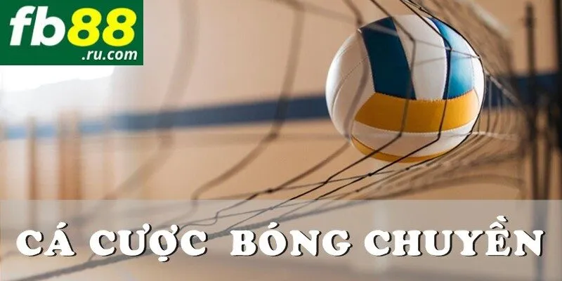 Cá cược bóng chuyền siêu hấp dẫn