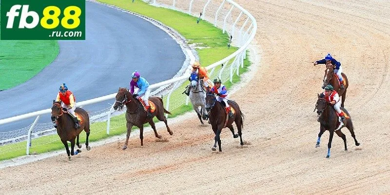 Cá cược đua ngựa đẳng cấp hàng đầu hiện nay